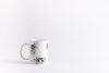Taza