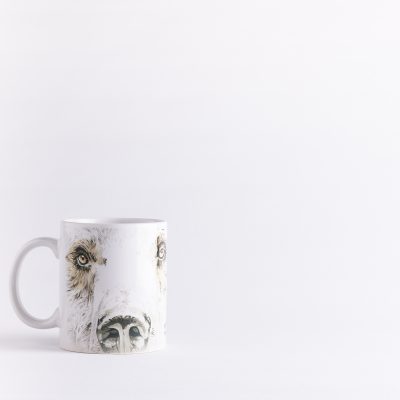 Taza