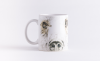 Taza