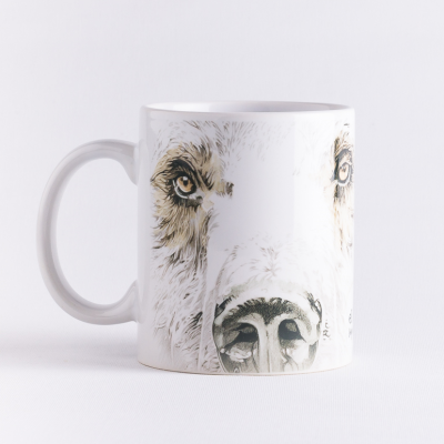 Taza
